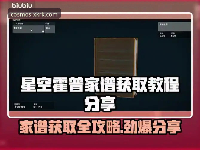 星空入口平台稳定访问对比教程：新手必看指南