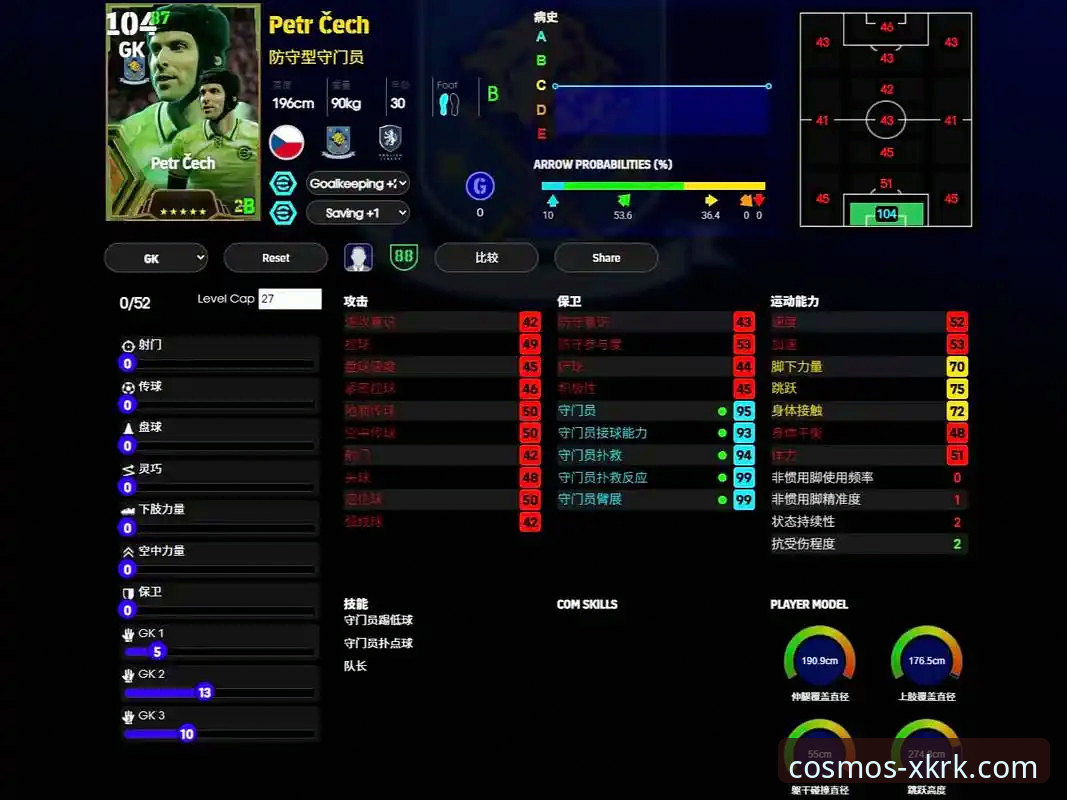 阿根廷新星重伤折戟世界杯：一次通过星空入口网页版追踪的深度赛事信息评测