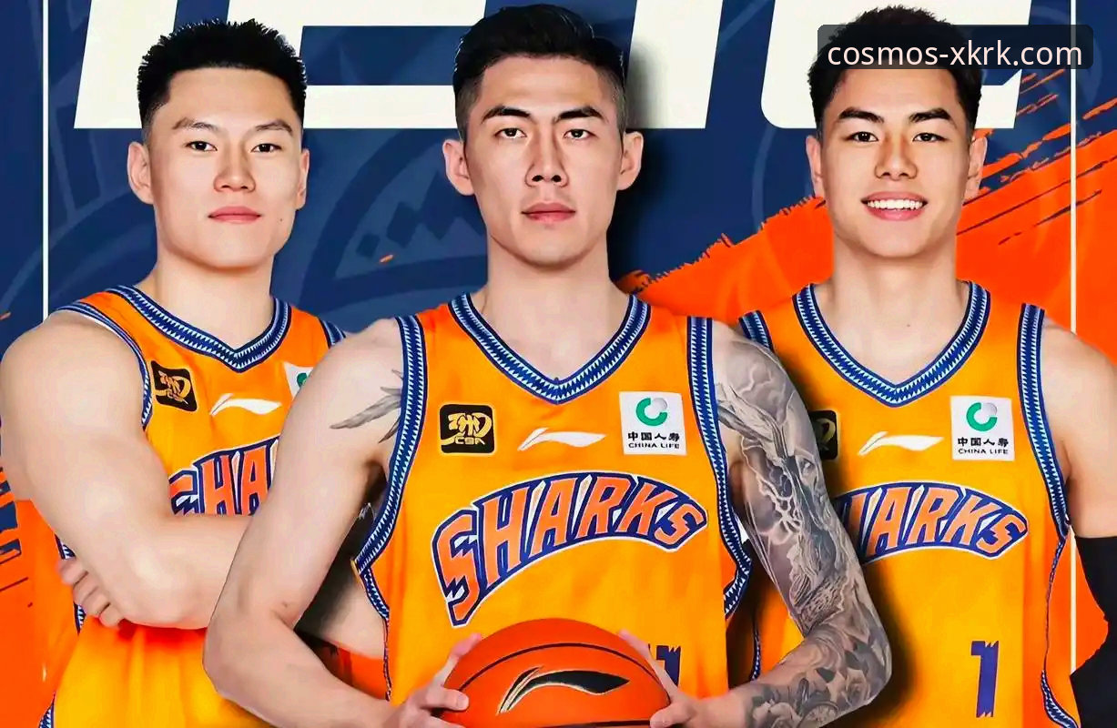 上海男篮豪取12连胜，如何通过星空入口官网手机版流畅追看全场回放？